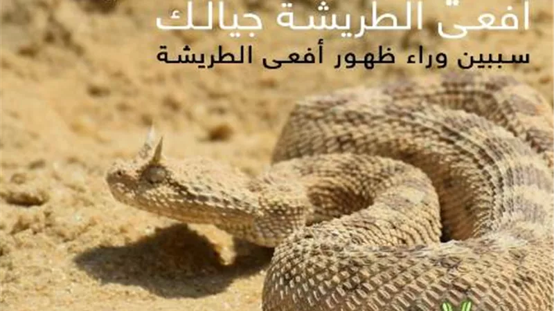 شباب بتحب مصر تطلق حملة توعوية بخصوص انتشار الثعابين والزواحف