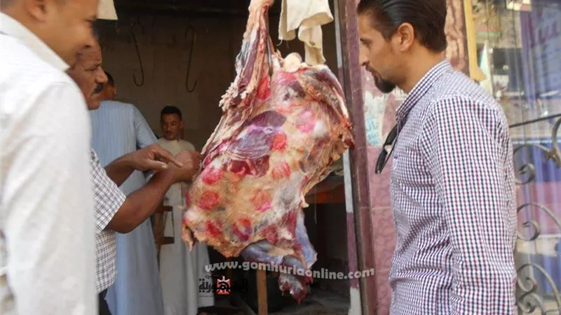 تحرير 47 محضر تمويني .. وضبط طن و 200 كيلو دقيق مدعم قبل طرحة للبيع بالأسواق بسوهاج..صور