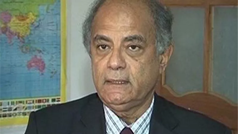 هريدي: الدبلوماسية المصرية داعمة لجهود الأمم المتحدة في حل الأزمات الدولية