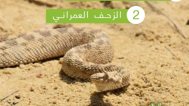 تعرف على سبب ظهور الطريشة بالتجمع الخامس