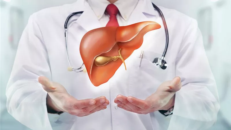 اكتشاف خلايا جديدة قد تغني عن زراعة الكبد قريباً