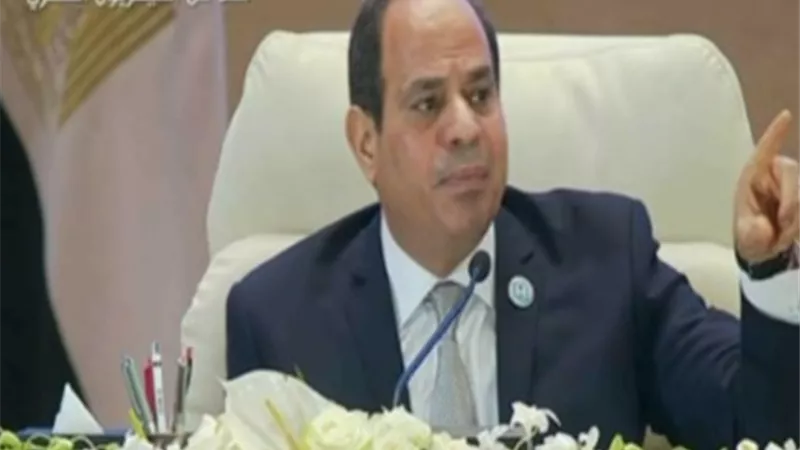 السيسي .. استبعدنا مئات الالاف من بطاقات التموين المكررة استنادا لقاعدة البيانات