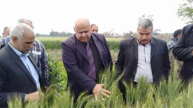 معهد أمراض بحوث النباتات ينظم 4 دورات تدريبية خلال أغسطس القادم