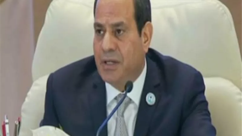 السيسي .. اتابع بدقة قواعد البيانات واتأكد من كفاءة التعامل معها