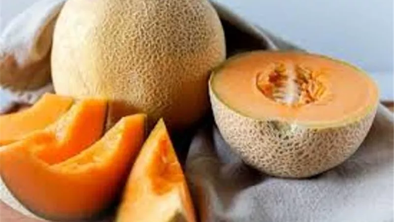 فوائد الشمام تتفوق على فواكه أخرى و تجعلك تواظب على تناوله دائما