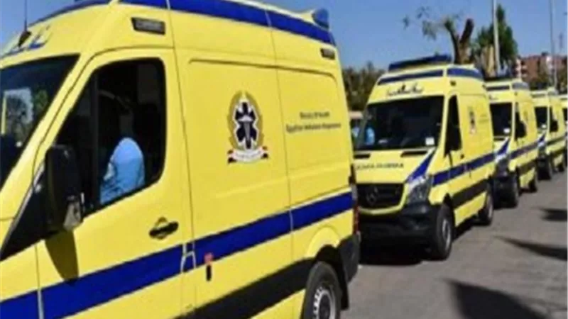 إصابة 5 أشخاص بسبب خلافات الجيرة ولهو الأطفال بطوخ