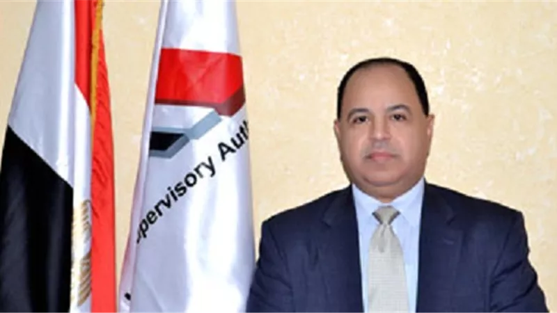 مرفت إسماعيل مديراً للمديرية المالية بالفيوم