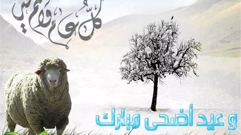 السعودية تكشف موعد عيد الأضحى المبارك