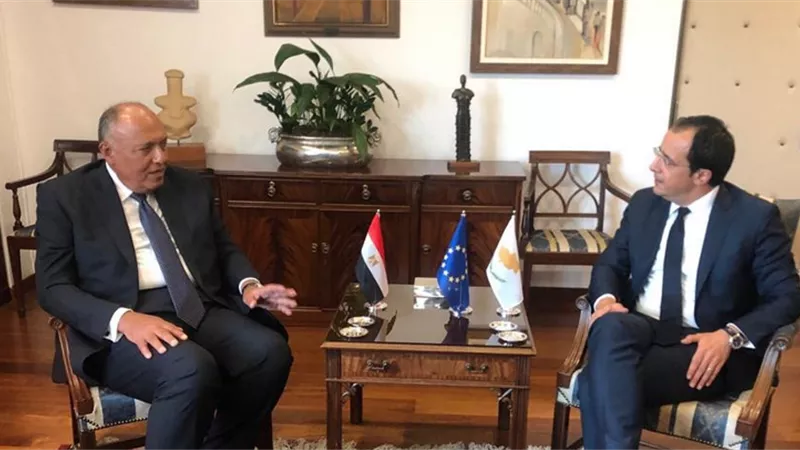 شكري يعقد جلسة مباحثات مع نظيره القبرصي تتناول آفاق التعاون بين البلدين