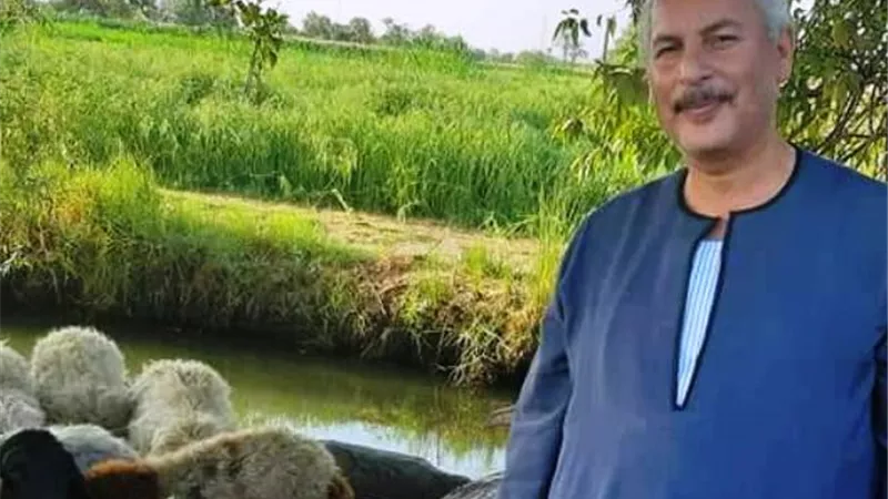 نقيب الفلاحين يكشف سر إنخفاض أسعار المواشى بالسوق المصرى