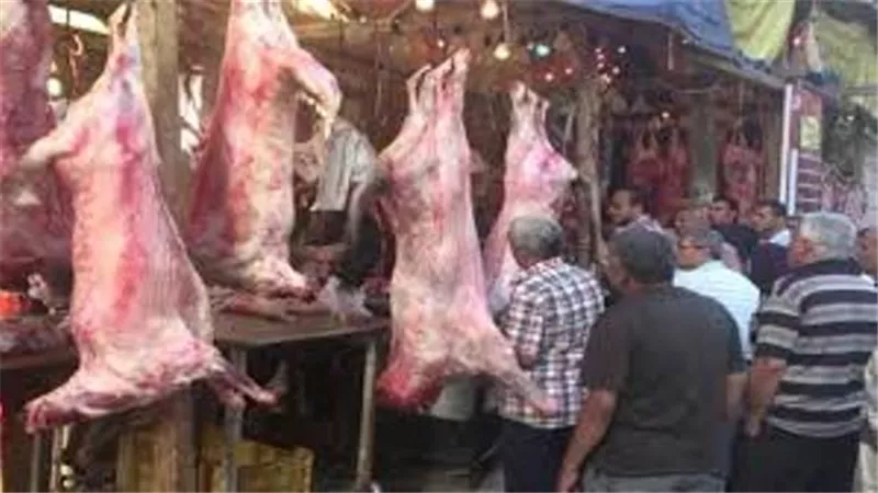 التموين شوادر متنقلة لبيع لحم خراف الاضاحى ب57 جنيها للكيلو