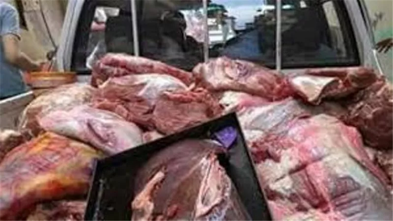 ضبط 56 قضية تموينية وصاحب محل جزارة بحوزته 80 كيلو لحوم فاسدة بسوهاج