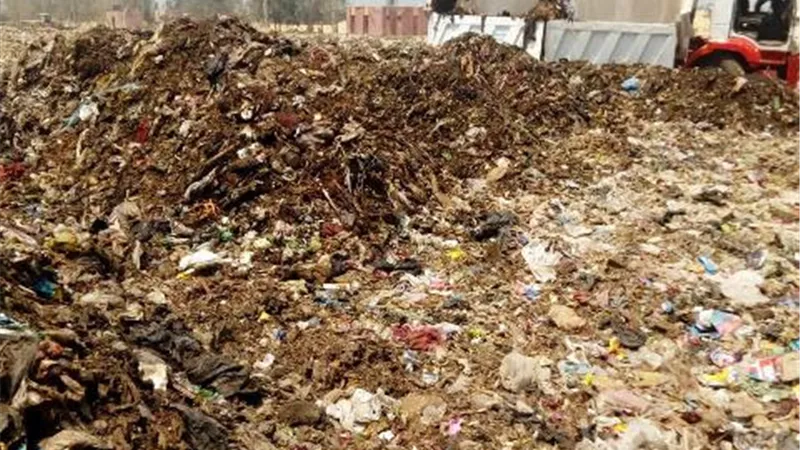 رفع 8 آلاف متر مكعب قمامة من المقالب العشوائية بالشرقية