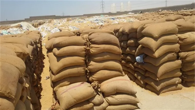 اكتشاف عجز ٣٤٠ طن قمح بشونة ناصر