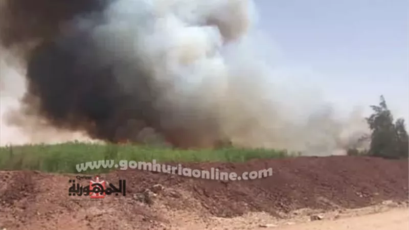 الدفاع المدنى يسيطر على حريق محدود ببركة صرف بالوادى الجديد. صور