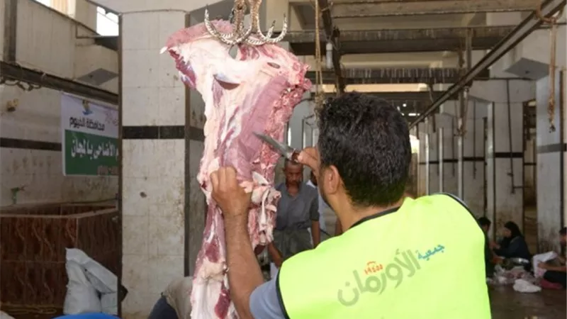 الأورمان تنهى استعداداتها لتوزيع لحوم الأضاحى فى قرى محافظة قنا