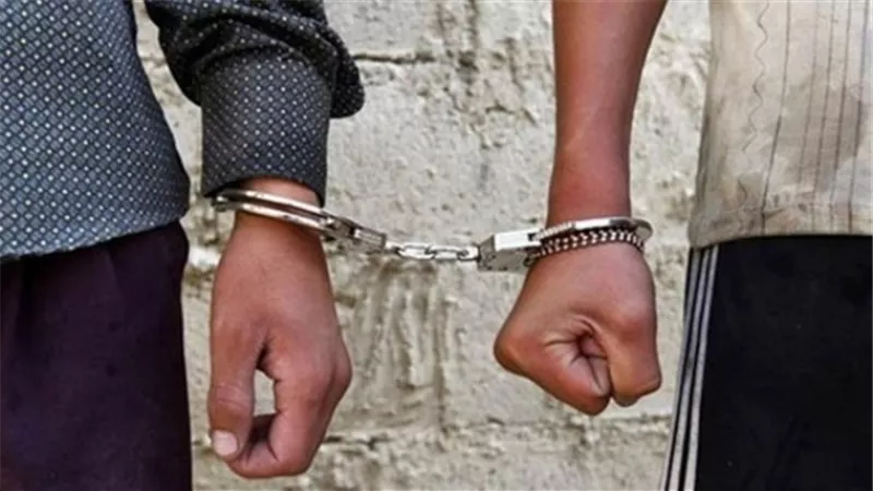 إحالة شقيقين قتلا محامياً وأصابا آخر في شبرا الخيمة للجنايات