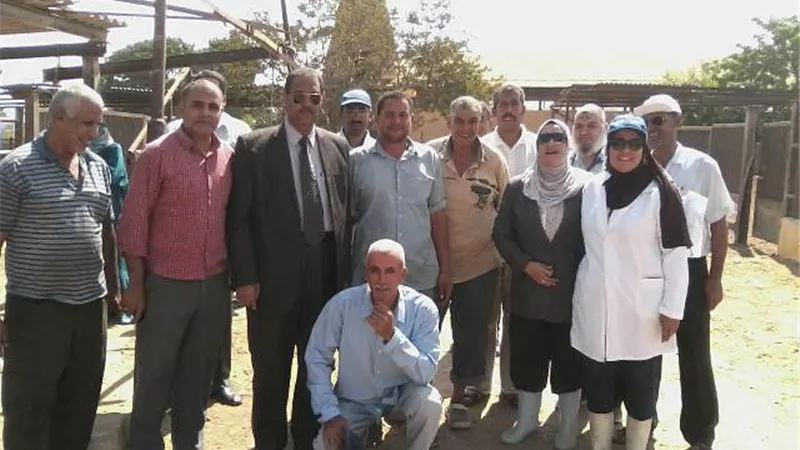 أضاحي و نقطتين للذبح بجامعة قناة السويس في العيد