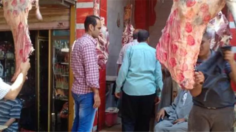 قصاصين الإسماعيلية تستقبل العيد بحملات تفتيش مكبرة ..صور
