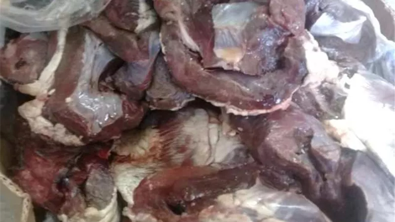 ضبط مصنعات لحوم فاسدة في الإسماعيلية ..صور