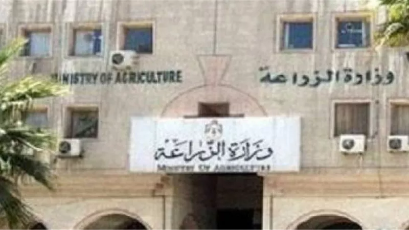الحكومة تكشف حقيقة استخدام مواد كيماوية ضارة فى تخزين تقاوى البطاطس