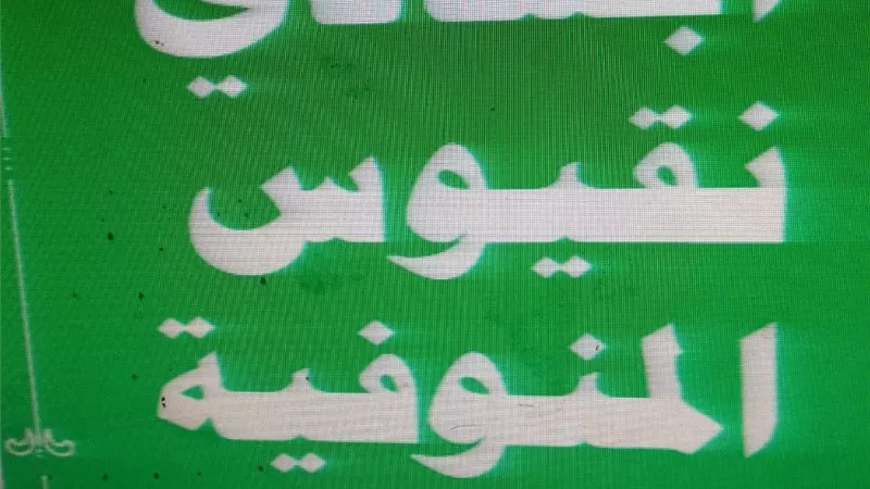 اول كتاب يتحدث عن قرية ابشادي.بالشهداء