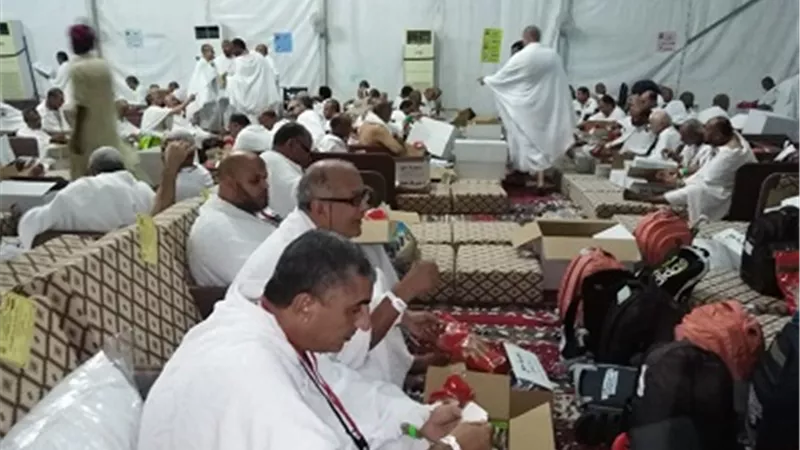 التضامن: تصعيد ضيوف الرحمن من حجيج الجمعيات الاهلية بنجاح الى عرفات