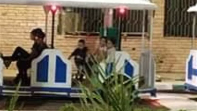 طفطف مجانى لفرحة العيد بالوادى الجديد.. صور
