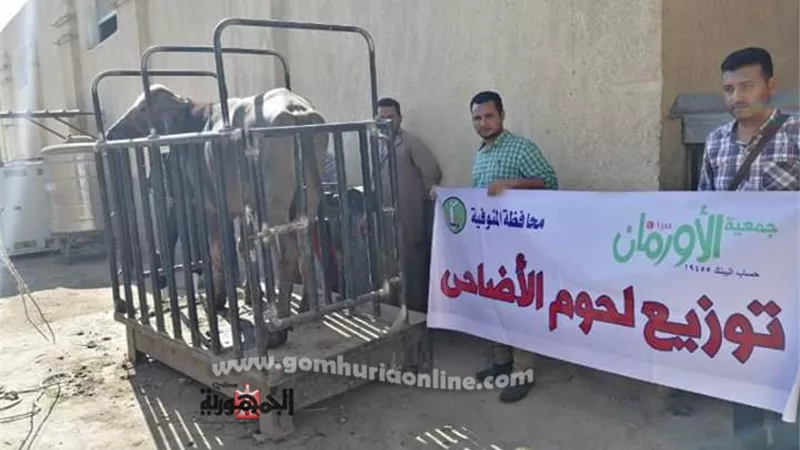 أورمان المنوفية : ذبـح ( 25 ) عجل أضاحي وتوزيعها علي الفئات الأكثر إحتياجاُ خلال أيام عيد الأضحي المبارك