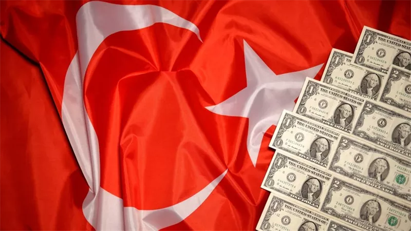 الليرة التركية تواصل تراجعها