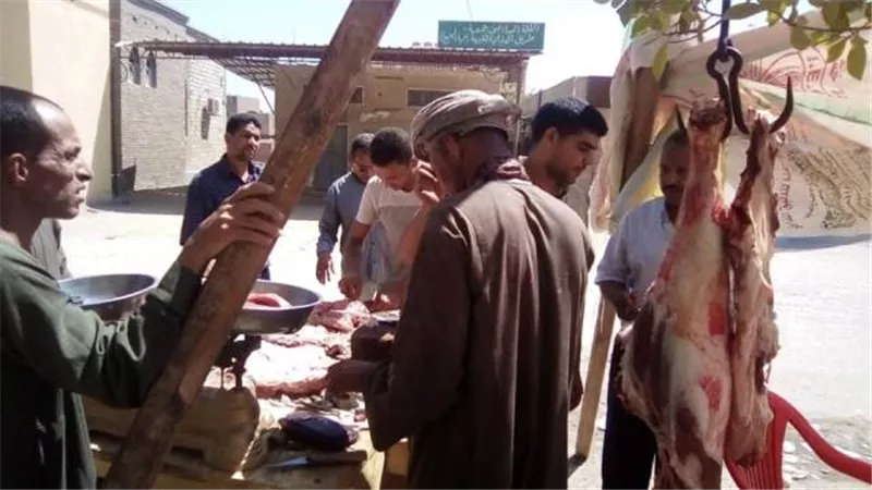 محافظ أسيوط: استمرار حملات اليوم الواحد وتحرير 209 محاضر تموين ورفع الإشغالات