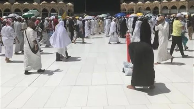 رئيس بعثة حج التضامن: غدا.. اولى رحلات تفويج حجيج الجمعيات للمدينة المنورة
