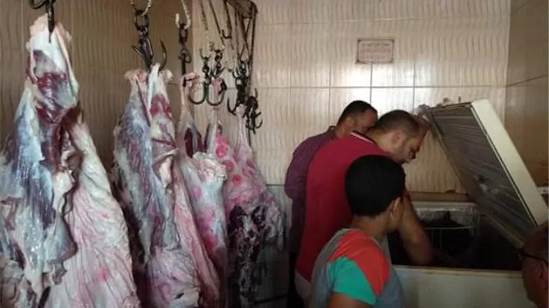 حملات للتفتيش على الاغذيه بسمسطا واهناسيا