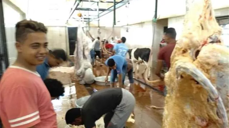 مجازر الوادى الجديد تستقبل 389 أضحية خلال أيام التشريق..صور