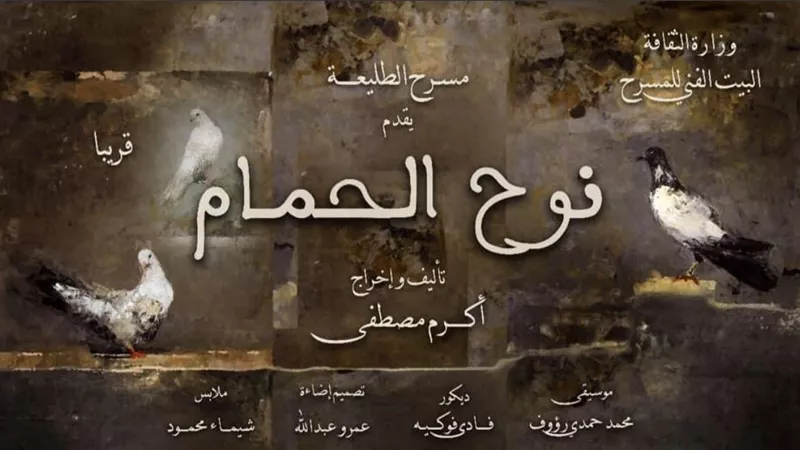 ١٢ عرض لـ 