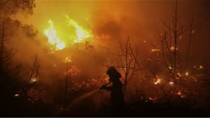 وفاة 23 شخصا واصابة 12ألف بسبب درجات الحرارة فى اليابان