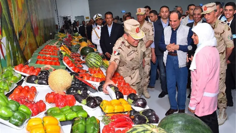 السيسي : محور موازي ل 26 يوليو لقطع الحد الخلفي للتعدي على كينج ماريوت