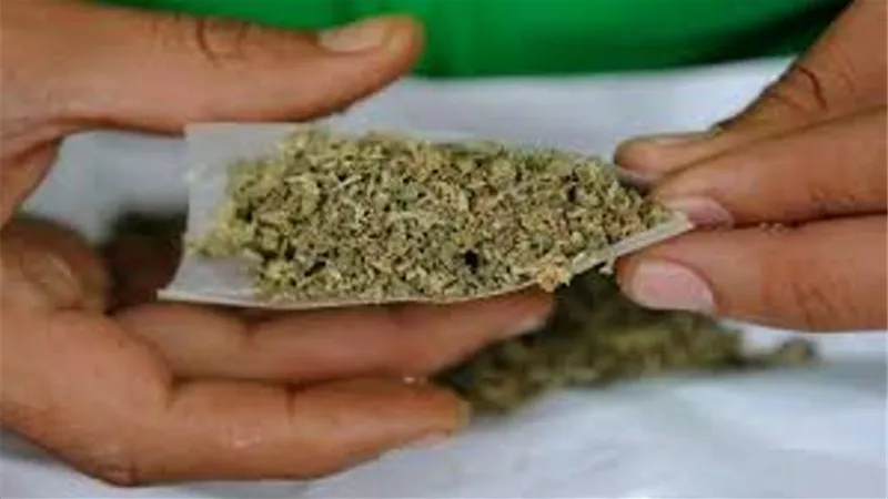 ضبط عاطلين يصنعان مخدر الحشيش في الإسماعيلية