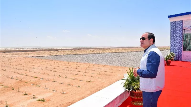 الرئيس السيسي يفتتح اليوم مشروعات الصوب الزراعية في قاعدة محمد نجيب