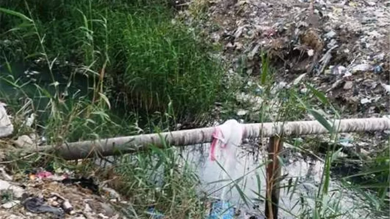 كارثة بيئية فى بيلا اختلاط مياة الشرب بمياه الصرف بالصور