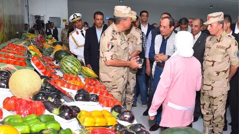 السيسي :مشروع الـ 100 ألف صوبة زراعية تكفى احتياجات 20 مليون مصرى