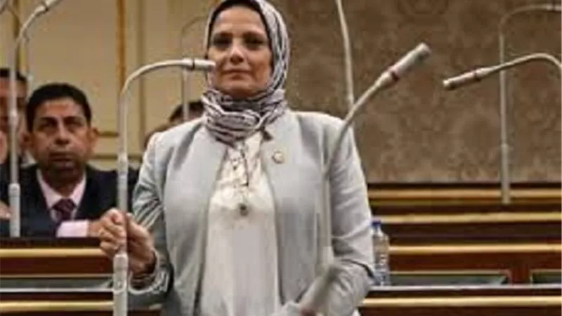 النائبة نجلاء العسيلي: أفرجوا عن سيارات ذوي الهمم