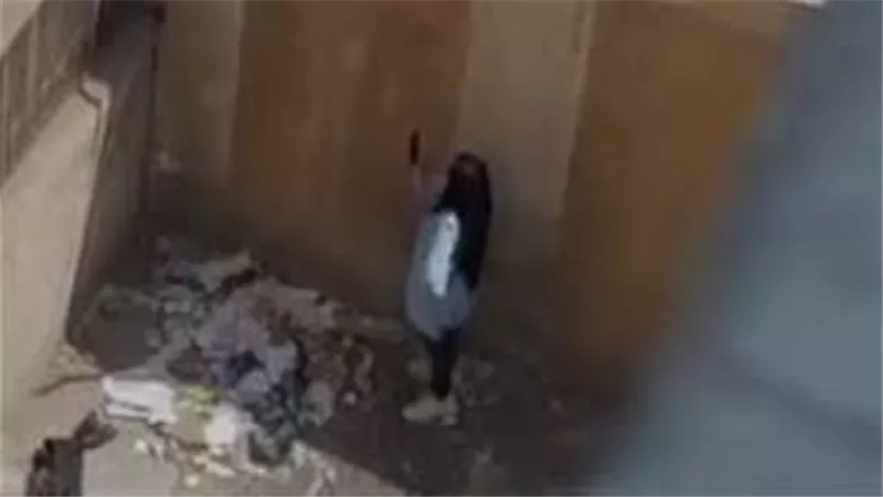 الداخلية تكشف تفاصيل محاولة غش داخل مدرسة بالمنصورة
