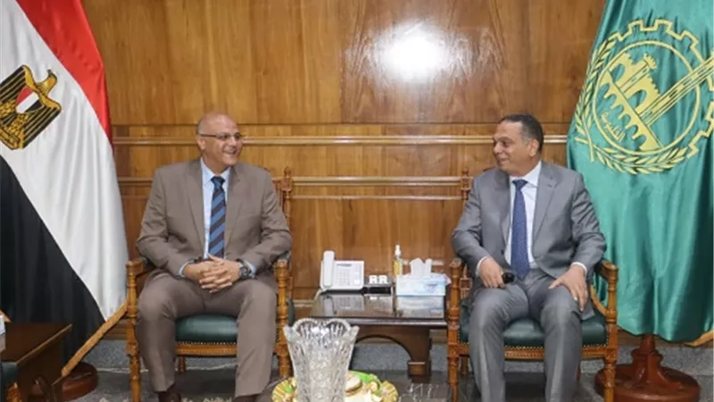 المهندس ايمن عطية