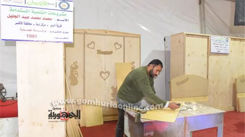 مشروعات تنموية لأصحاب الصناعات اليدوية والحرفية بالأقصر