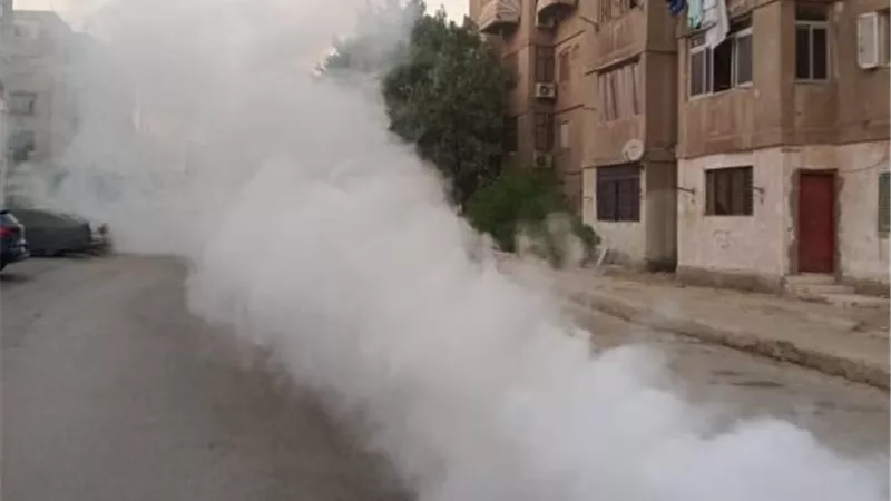 جهاز 15 مايو يكثف حملات مكافحة الحشرات للوقاية من الأمراض.. صور