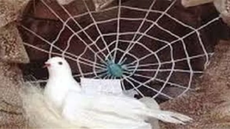 الهجرة درس في حب رسول الله ﷺ