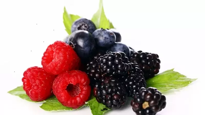 تحسين وظائف المخ .. أبرز فوائد التوت