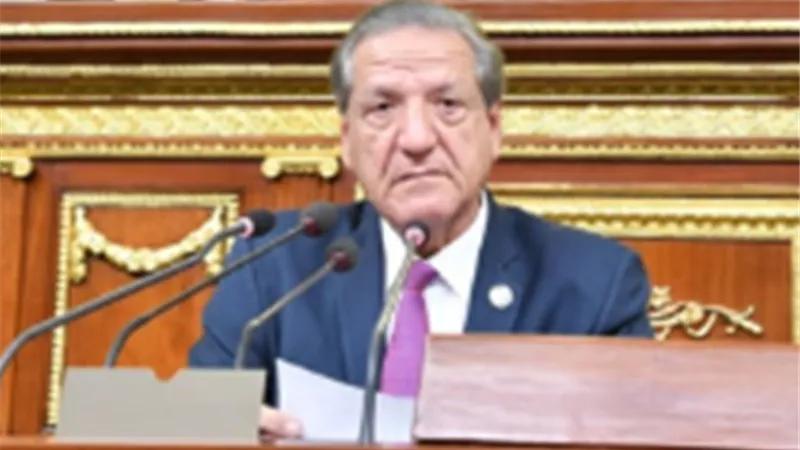 رئيس لجنة الخطة والموازنة: خفض التضخم أولوية لدى الحكومة الجديدة