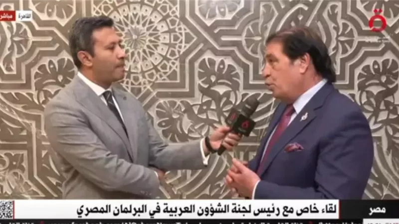 أباظة يطالب رئيس الحكومة بتنمية الصناعات الصغيرة